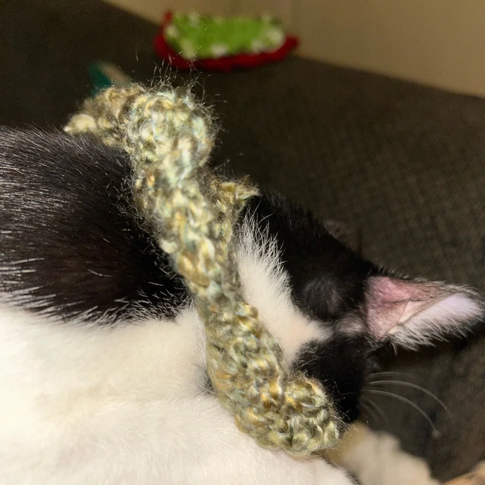 Fairy Woodland crochet cat scarf 🐈‍⬛